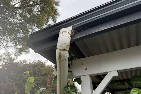 Structural Drying
